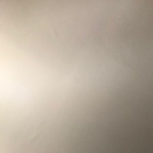 Meet your Posher, Shayla